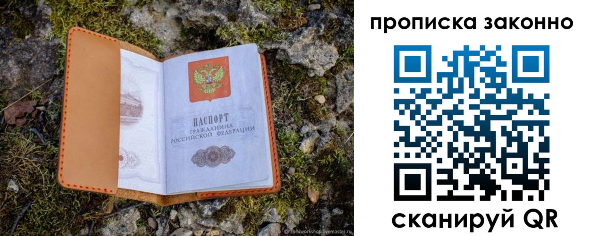 временная регистрация для всех в Клинцах