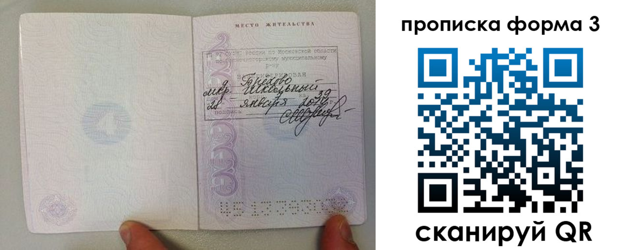 прописка гарантия в Клинцах
